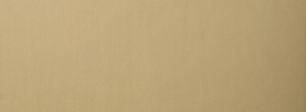 342/000 Alu Plain Polished Goldtone